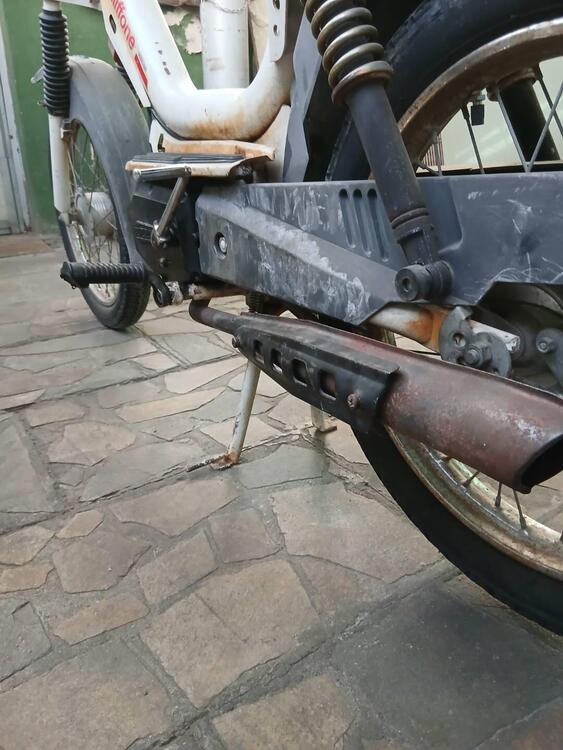 Rizzato califfone (5)