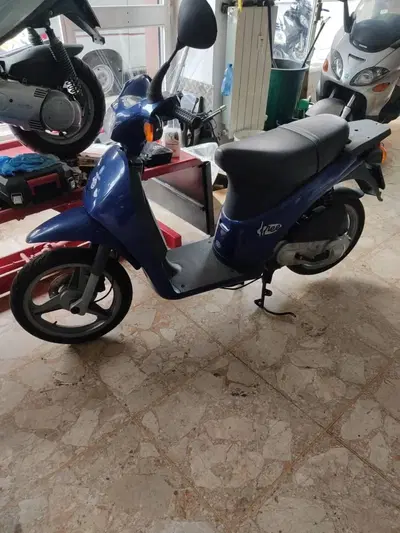 Piaggio Free 50 (1999 - 02) usata
