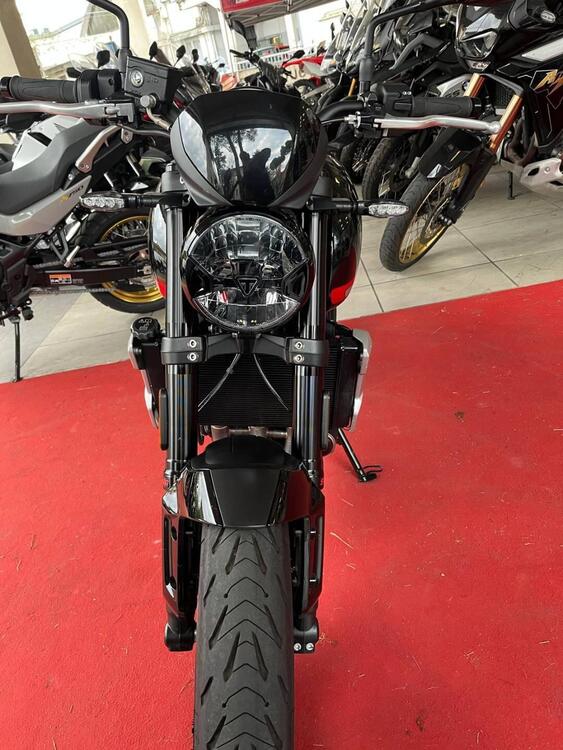 Triumph Trident 660 (2021 - 24) (3)