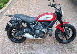 Ducati Scrambler 800 Icon (2015 - 16) usata