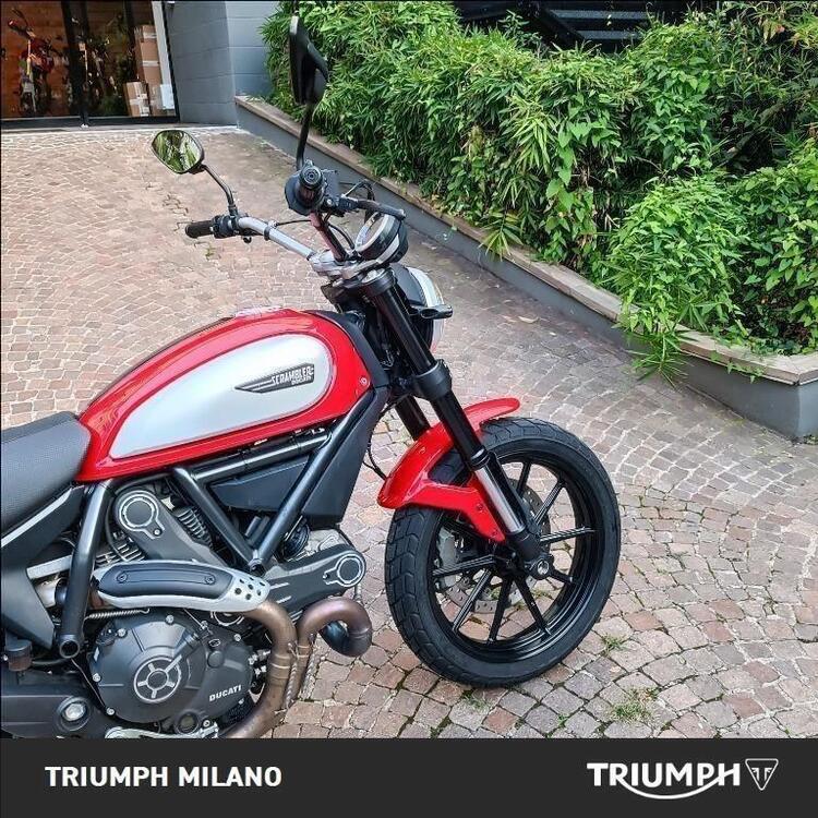 Ducati Scrambler 800 Icon (2015 - 16) (3)