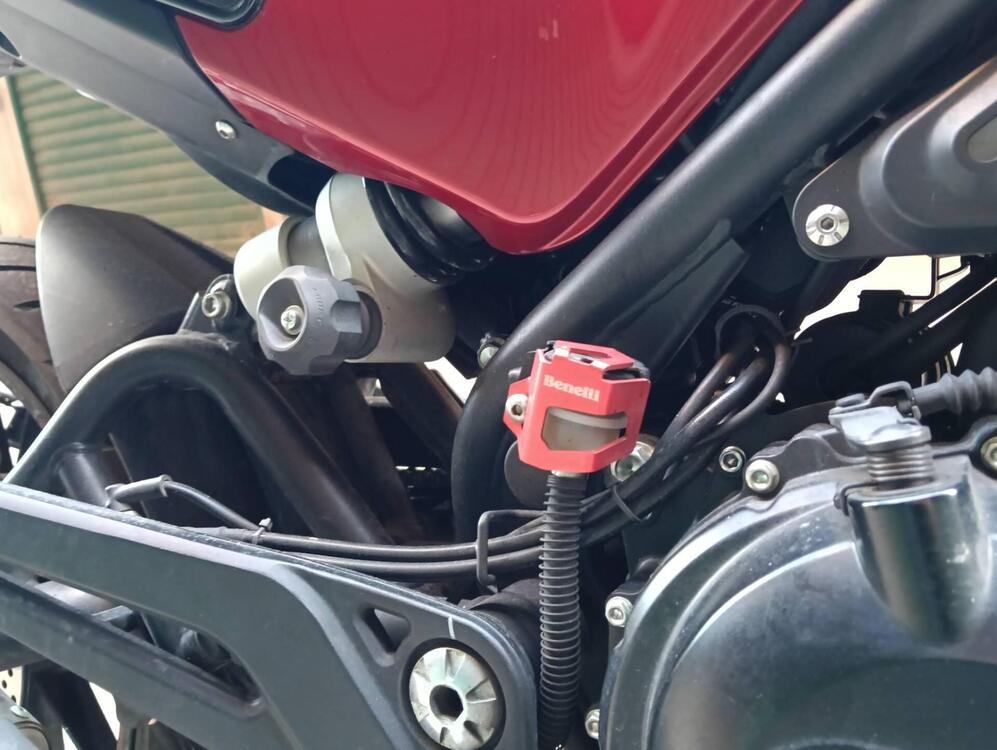 Benelli Leoncino 500 (2021 - 25) (4)