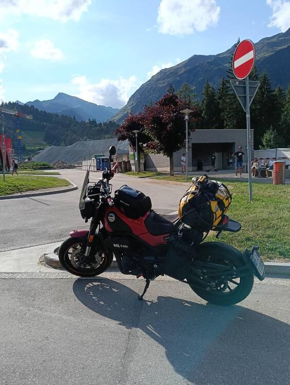 Benelli Leoncino 500 (2021 - 25)