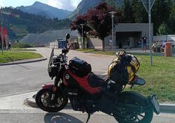 Benelli Leoncino 500 (2021 - 25) usata