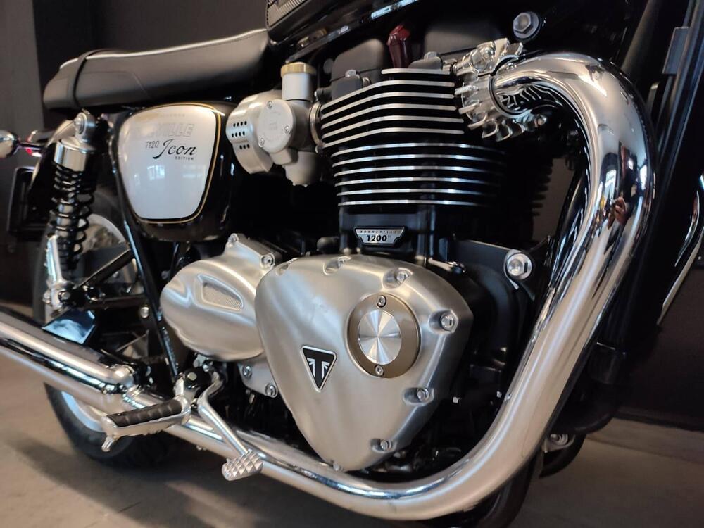 Triumph Bonneville T120 Icon Edition (2025) (4)