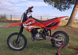 Betamotor Minicross R12 (2014 - 17) usata
