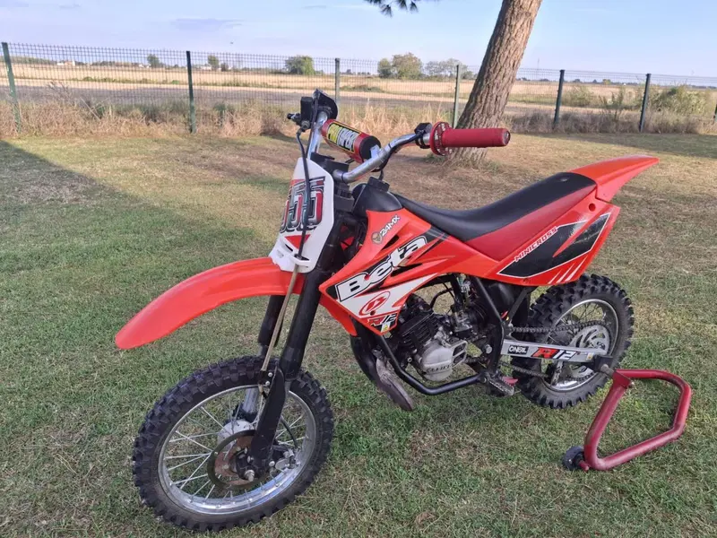 Betamotor Minicross R12 (2014 - 17) (4)