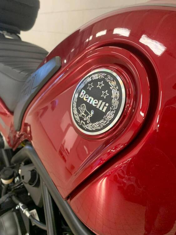 Benelli Leoncino 500 Trail (2021 - 25) (3)