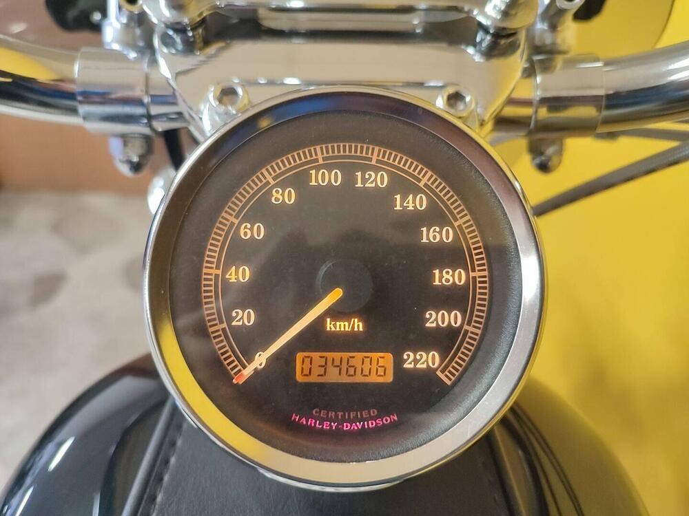 Harley-Davidson 883 Custom (2001 - 05) - XL 53C (5)