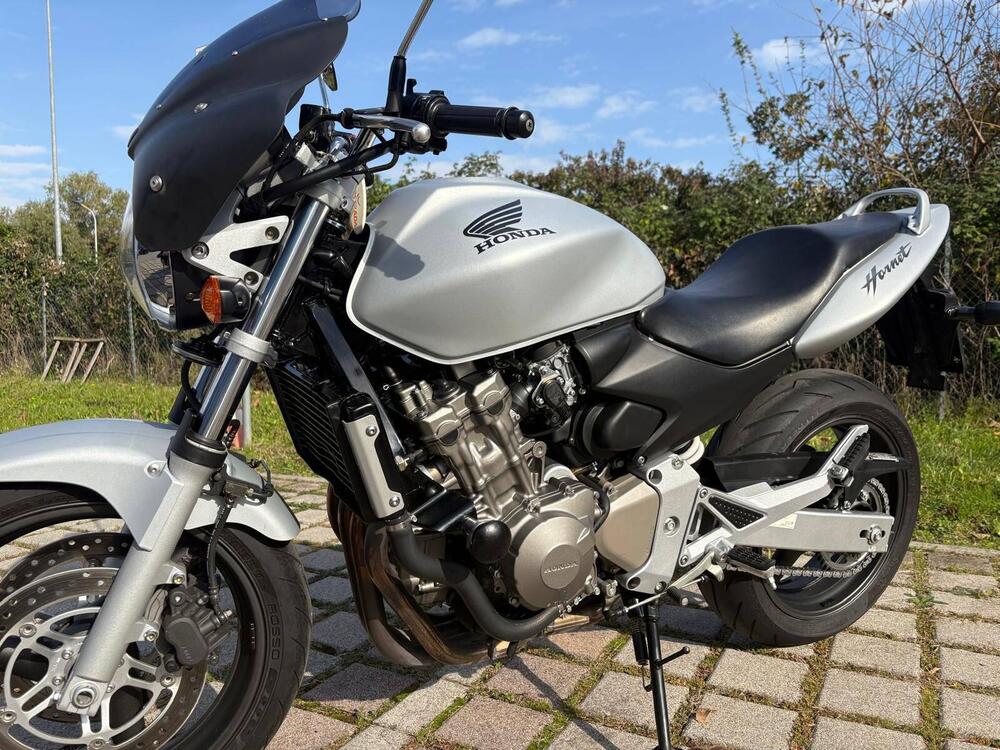 Honda Hornet 600 (2005 - 06) (4)