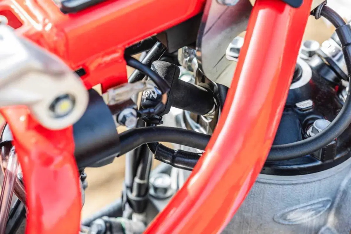 Beta RX 250 vs. 350 2T: quale comprare!? Vi diciamo tutta la verità. Il Test di Moto.it [VIDEO e GALLERY] (31)