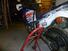 Honda Africa Twin (10)
