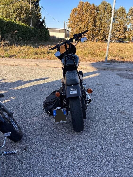 Harley-Davidson 1200 Custom ABS (2014 - 16) - XL 1200C