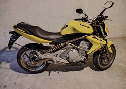 Kawasaki ER-6N (2006 - 09) usata