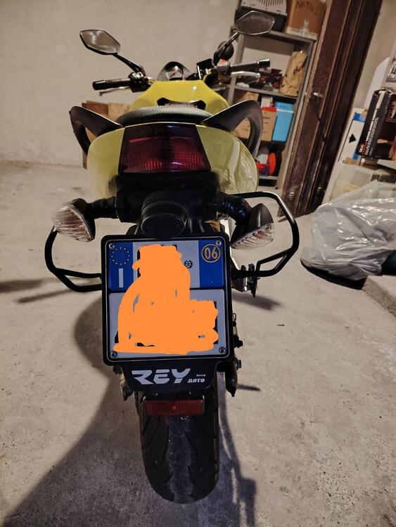 Kawasaki ER-6N (2006 - 09) (3)