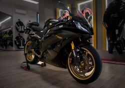 Yamaha YZF R6 (2010 - 16) usata