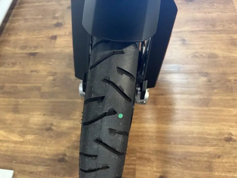 Bmw F 850 GS (2018 - 20) (10)
