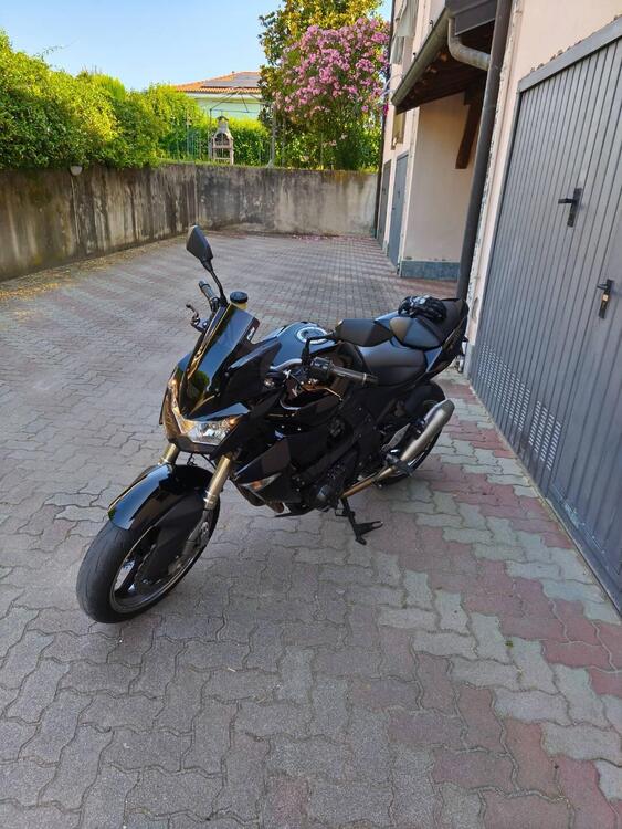 Kawasaki Z 1000 (2007 - 09) (5)