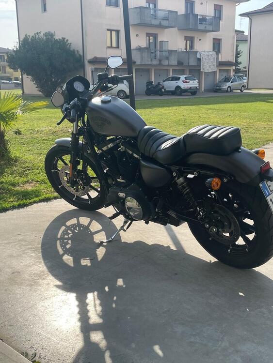 Harley-Davidson 883 Iron (2017 - 20) - XL 883N (3)