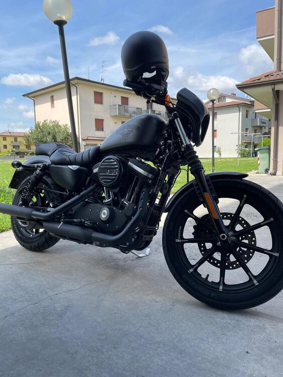Harley-Davidson 883 Iron (2017 - 20) - XL 883N (4)
