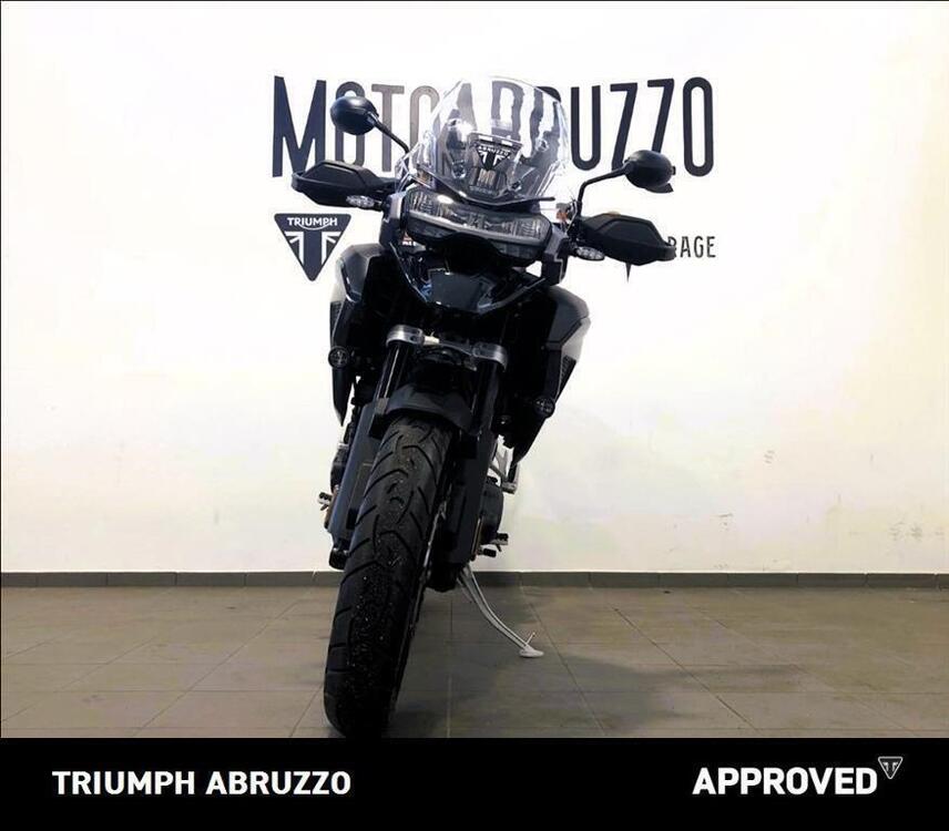 Triumph Tiger 1200 GT Pro (2024 - 25) (2)