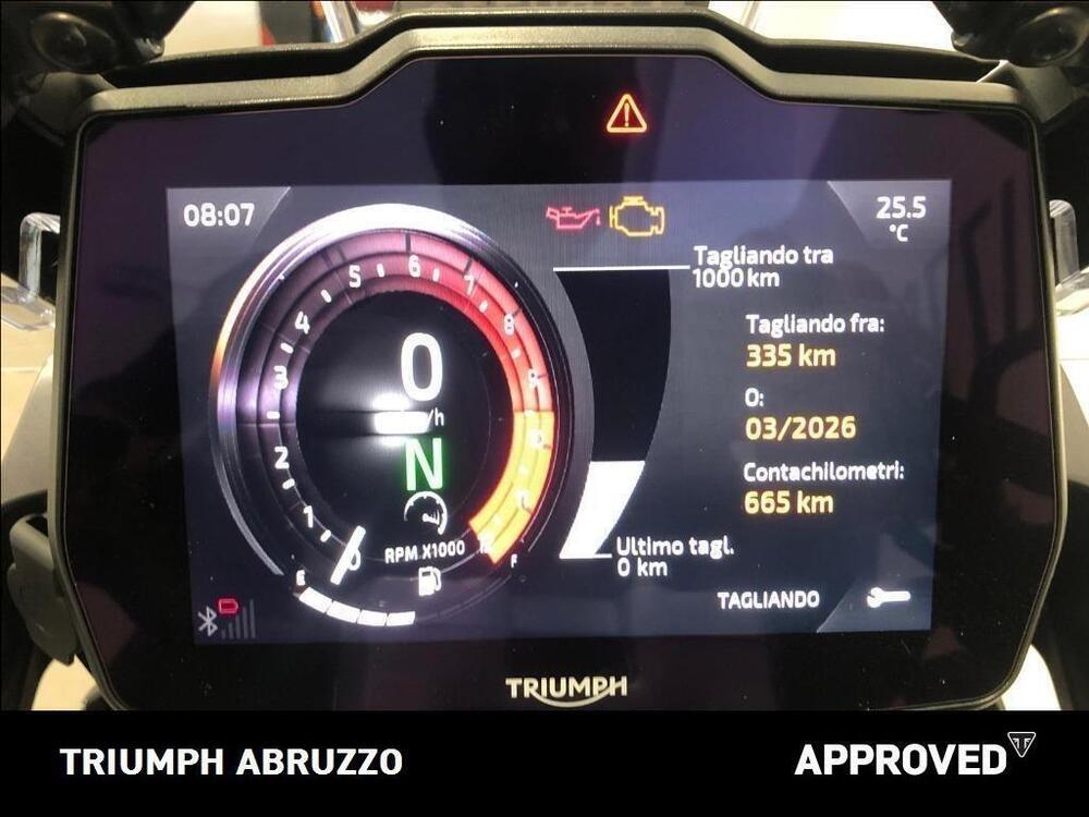 Triumph Tiger 1200 GT Pro (2024 - 25)