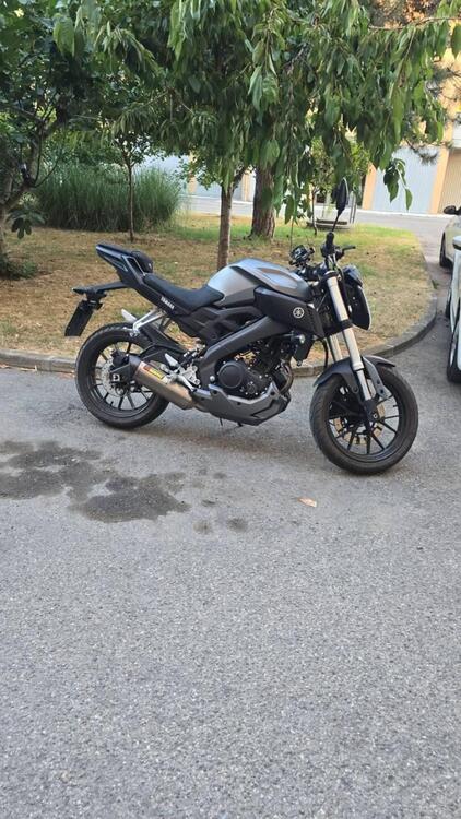 Yamaha MT-125 ABS (2015 - 16) (3)
