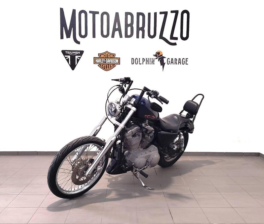 Harley-Davidson 883 Custom (2001 - 05) - XL 53C (4)