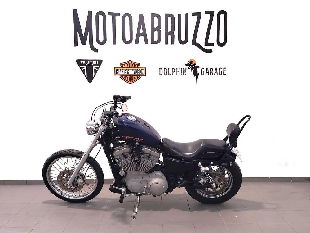 Harley-Davidson 883 Custom (2001 - 05) - XL 53C (5)