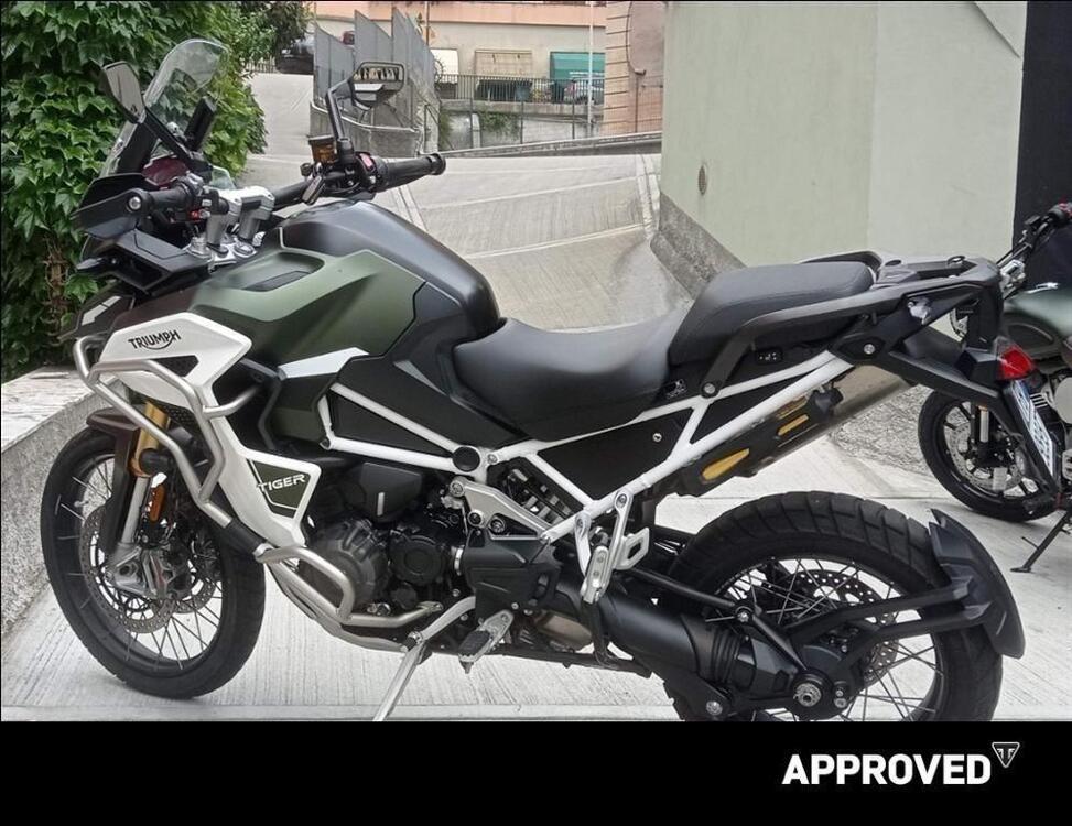 Triumph Tiger 1200 Rally Explorer (2022 - 23) (5)