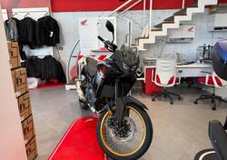 Honda Transalp XL750 (2025) nuova