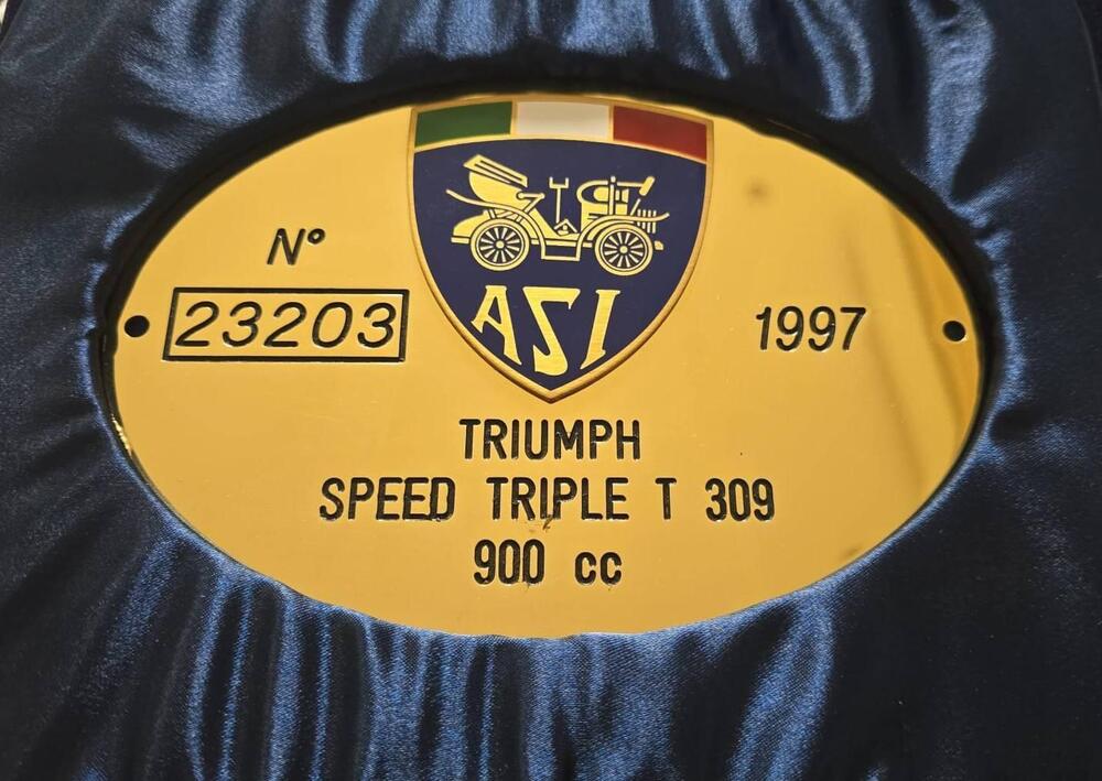 Triumph Speed Triple 900 (T 309) (2)