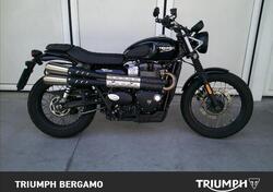 Triumph Street Scrambler 900 (2021 - 22) nuova
