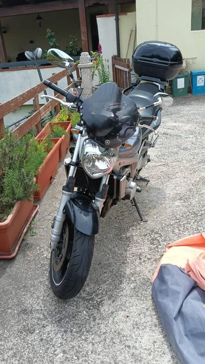 Yamaha FZ6 (2004 - 07)