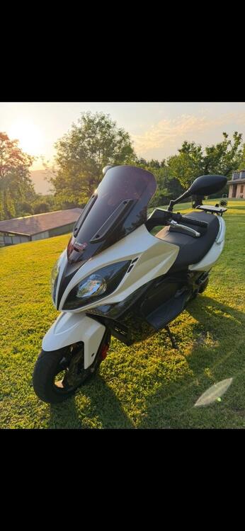 Kymco Xciting 300i R (2007 - 14) (3)