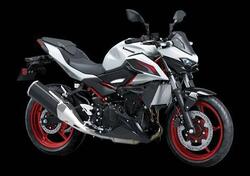 Kawasaki Z 500 SE (2024 - 26) nuova