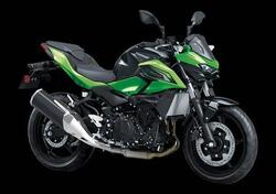Kawasaki Z 500 (2024 - 26) nuova