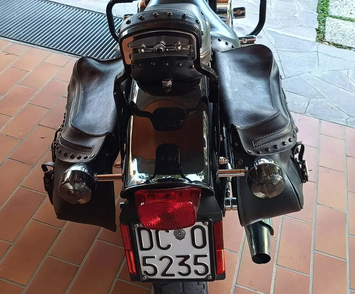 Harley-Davidson BAD BOY FLSTSB (10)