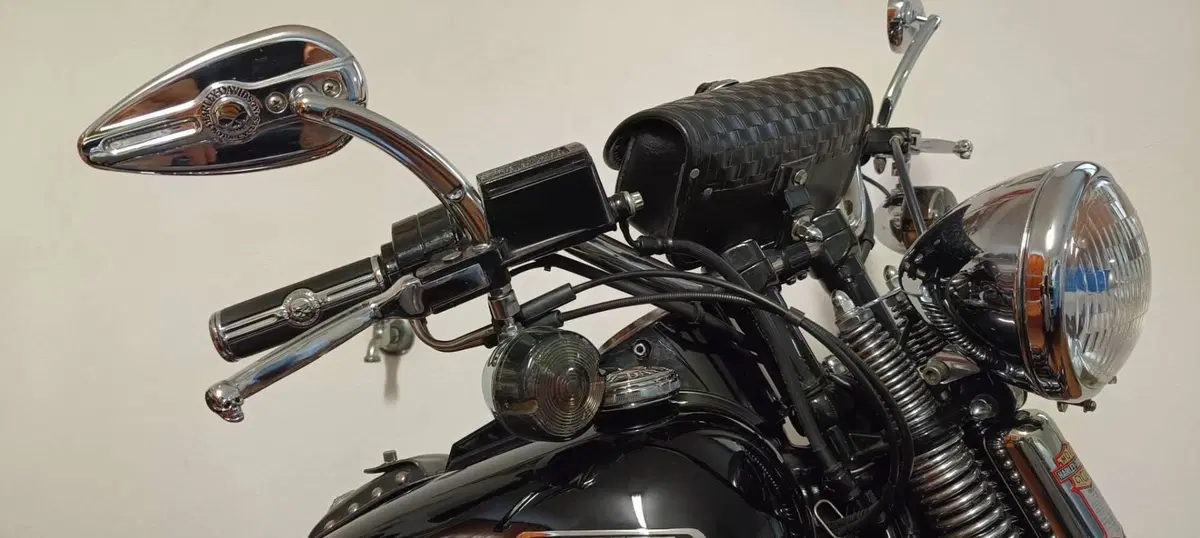 Harley-Davidson BAD BOY FLSTSB (11)