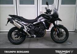 Triumph Tiger 900 GT Pro (2024 - 25) usata