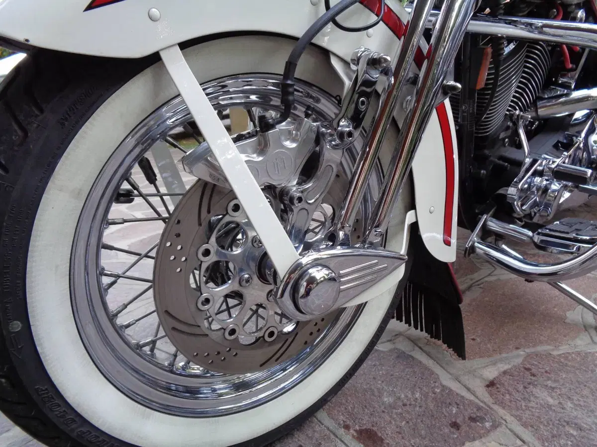 Harley-Davidson Old Boy (2)