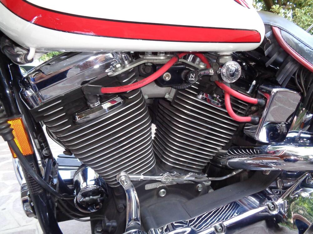 Harley-Davidson Old Boy (3)