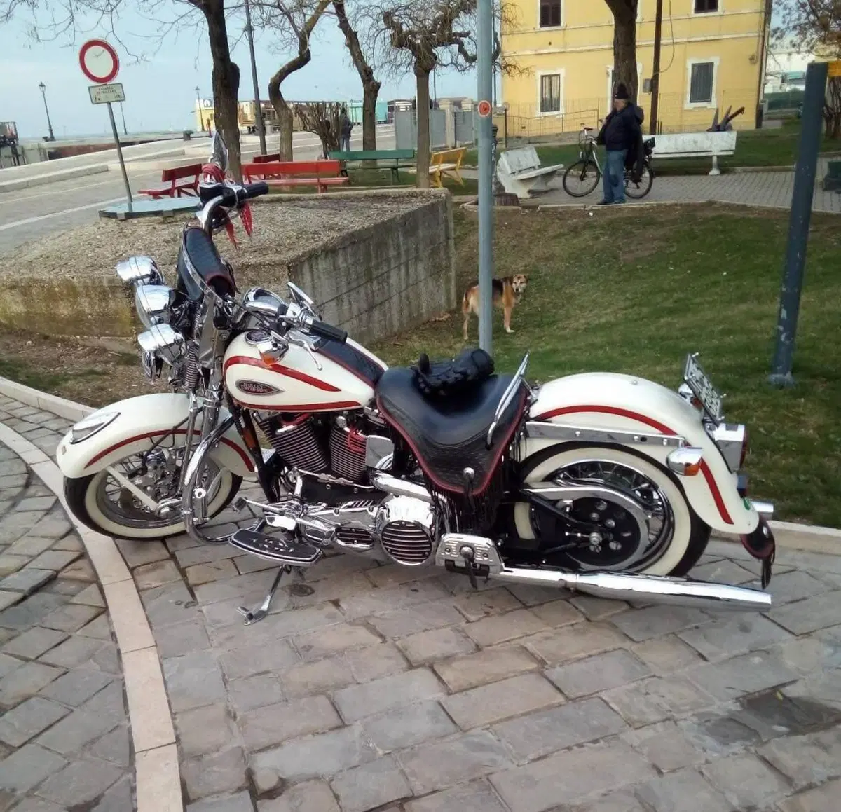 Harley-Davidson Old Boy (11)