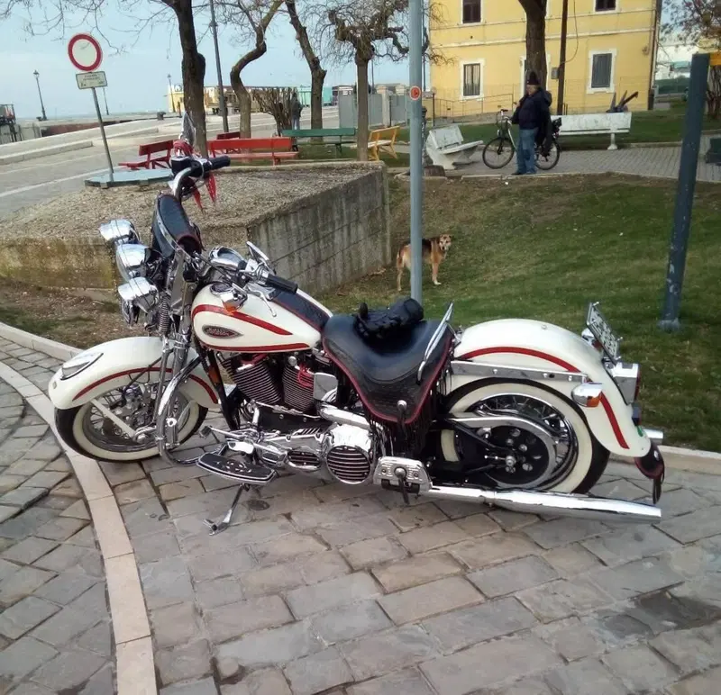 Harley-Davidson Old Boy (11)