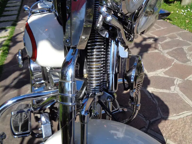 Harley-Davidson Old Boy (16)