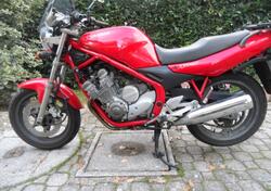 Yamaha XJ 600 N (1995 - 97) usata