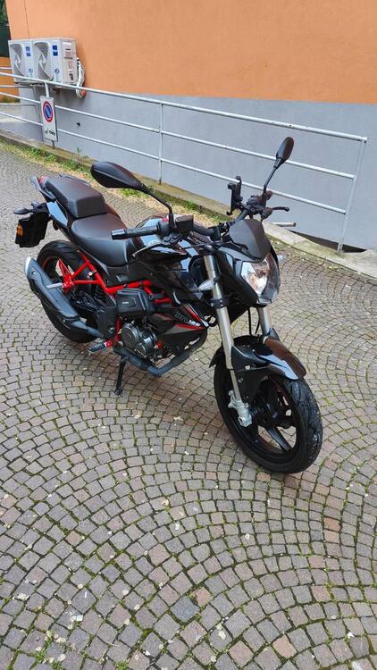Benelli BN 125 (2021 - 25) (2)