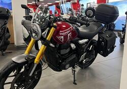 Triumph Speed 400 (2024 - 25) usata