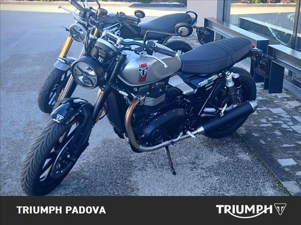 Triumph Speed Twin 900 (2025) (3)