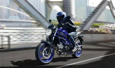 Suzuki SV650 (2025 - 26) nuova